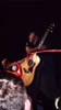 warfield029